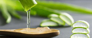 Aloe vera for stretch marks